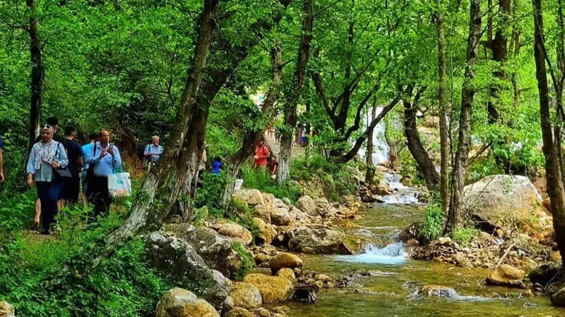 turkler nature tour price