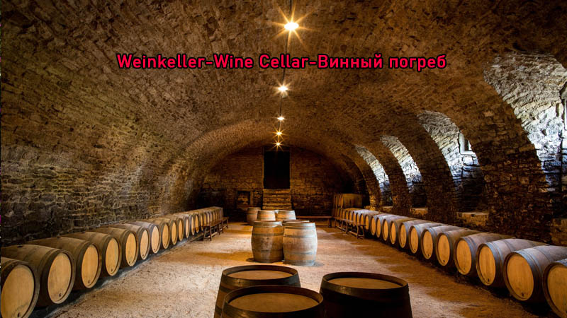 wine-cellar turkler