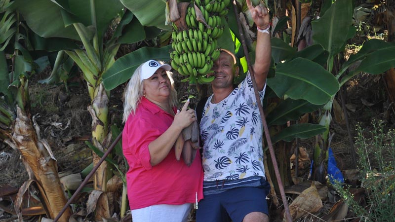 turkler banana garden