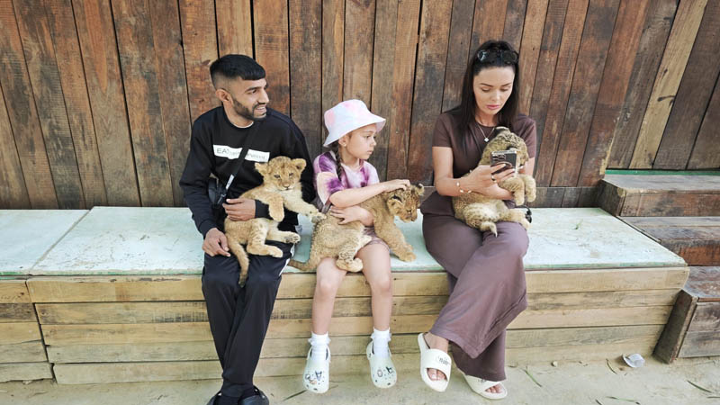 manavgat lion park