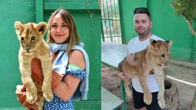 photo with lion turkler